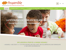 Tablet Screenshot of ansamble-int.com